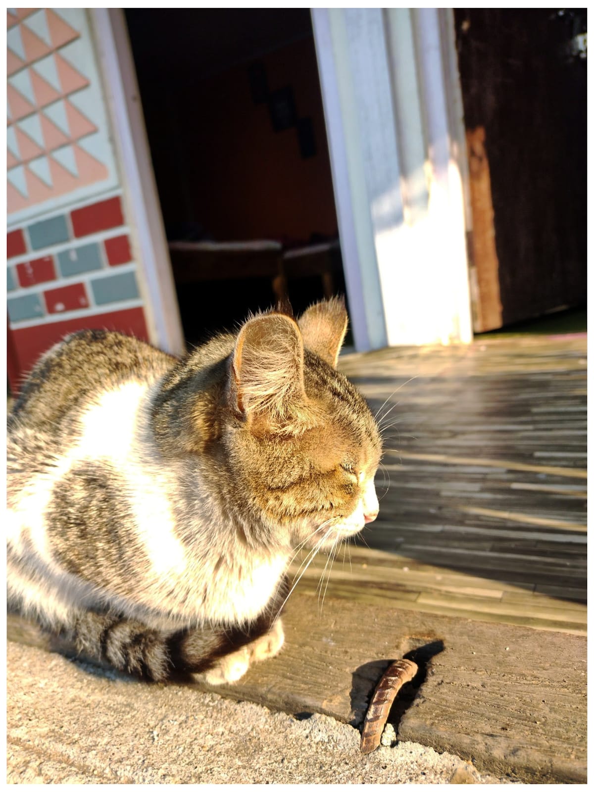 Photography by Avirup