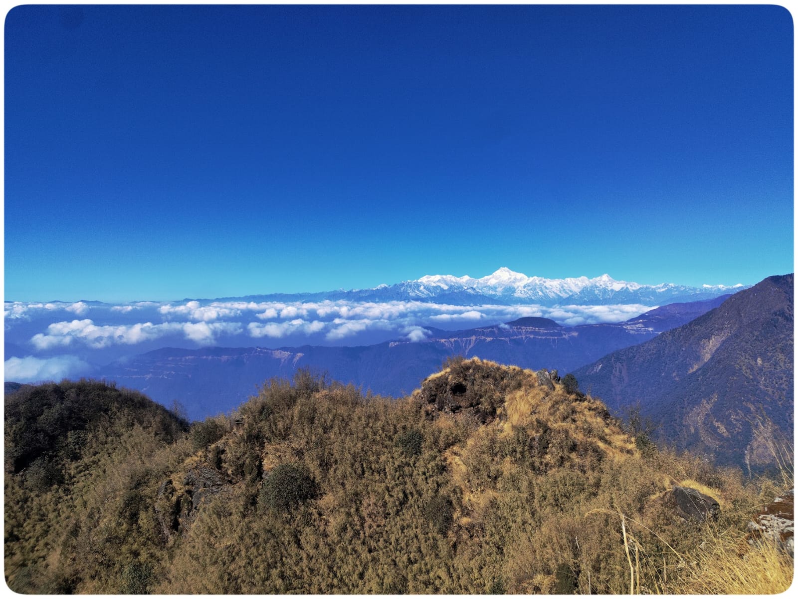 Photography by Avirup