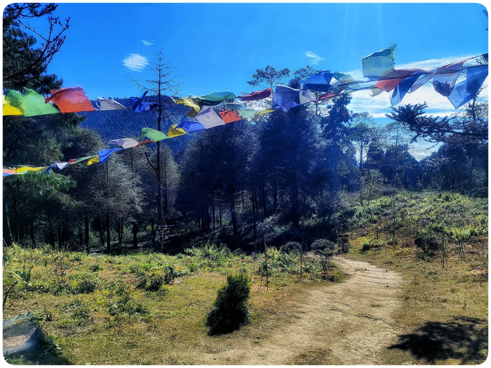 Photography by Avirup