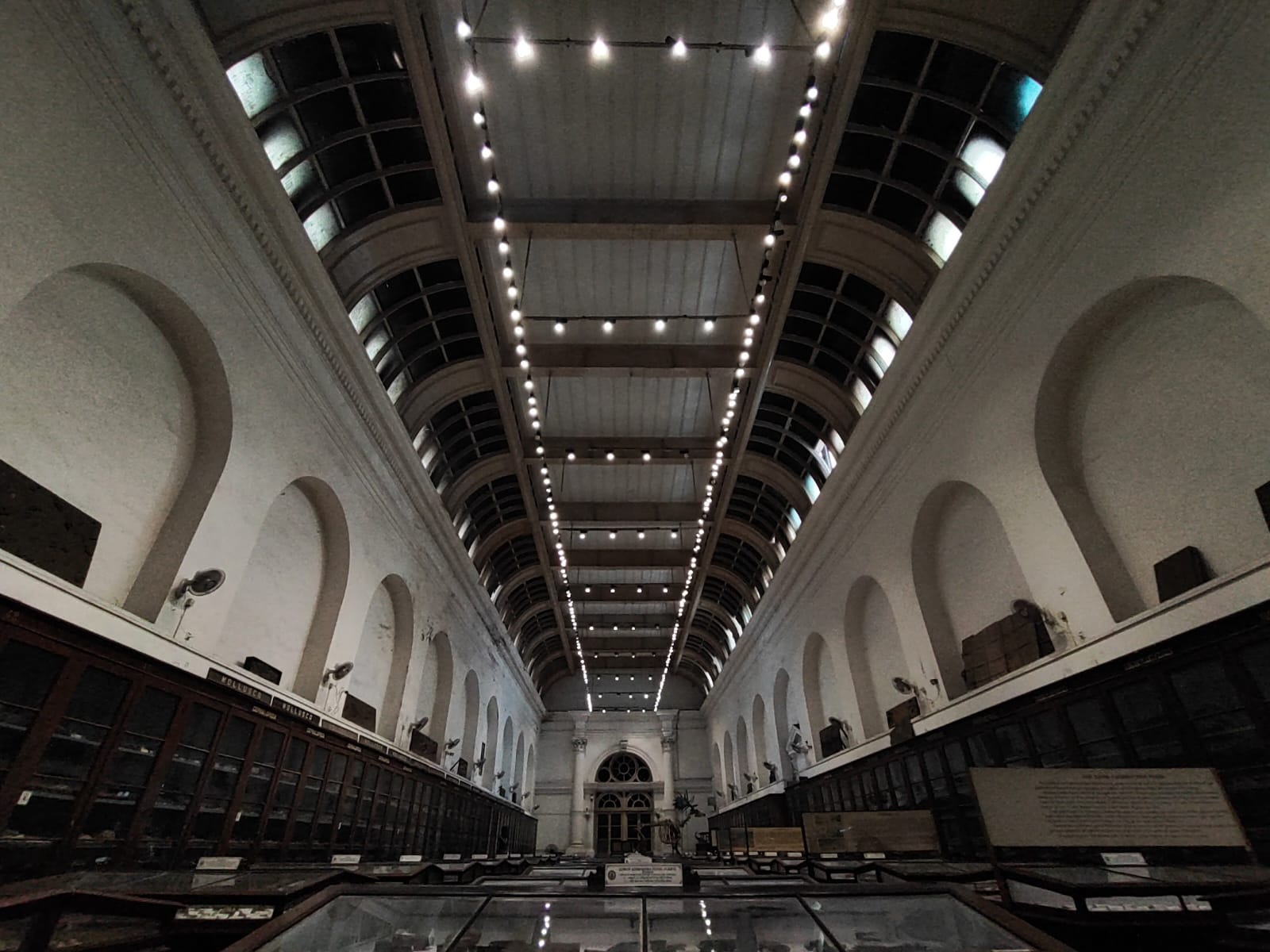 Photography by Avirup