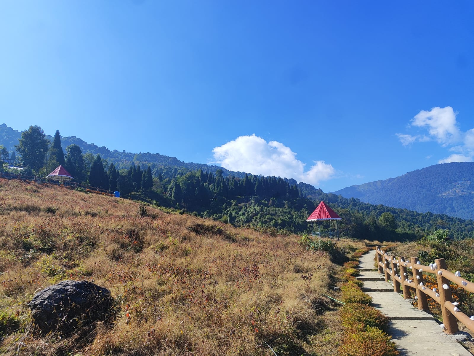 Photography by Avirup